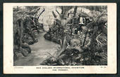 NEW ZEALAND 1906 Postcard of Christchurch Exhibition. The Fernery. - 48514 - Postcard
