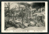 NEW ZEALAND 1906 Postcard of Christchurch Exhibition. The Fernery.  Photo by Dutch. Published by Smith and Anthony. - 48518 - Po