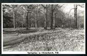 Real Photograph by N S Seaward of Springtime in Christchurch - 48521 - Postcard