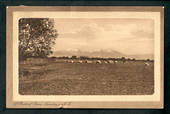 Sepia Postcard of Pastoral Scene Temuka. - 48552 - Postcard