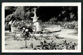 NELSON from Mount Street. Postcard. - 48608 - Postcard