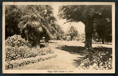 Real Photograph by A B Hurst & Son of Anzac Park Nelson. - 48622 - Postcard