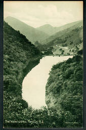 Postcard of the Waterworks Nelson. - 48669 - Postcard