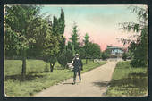 Coloured postcard by Muir and Moodie of Seymour Square Blenheim. - 48709 - Postcard