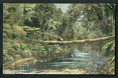 Coloured postcard of Natural Bridge Greymouth. 1906. - 48787 - Postcard