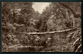 Undivided Real Photograph of Bush Scene West Coast. - 48791 - Postcard