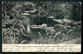 Early Undivided Postcard of Fern Pool on the Buller Road. - 48808 - Postcard