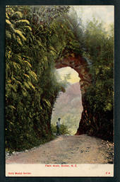 Coloured postcard of the Fern Arch Buller. - 48817 - Postcard
