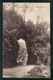 Postcard by Muir and Moodie of Fern Arch Buller Gorge. - 48848 - Postcard