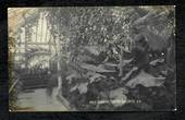 Real Photograph by E T of the Dunedin Winter Gardens. - 49105 - Postcard