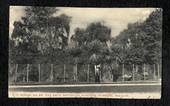 Early Undivided Postcard of The Emus Botannical Gardens Dunedin. - 49117 - Postcard