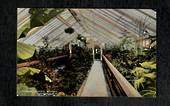 Coloured postcard of the Interior of the Winter Gardens Dunedin. - 49122 - Postcard