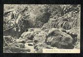 Postcard of Morrison's Creek Dunedin. - 49137 - Postcard