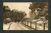 Early Undivided Real Photograph of Botannical Gardens Dunedin. - 49223 - Postcard