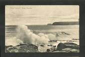 Postcard of Lawyer's Head Dunedin. - 49233 - Postcard