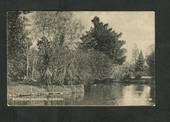 Postcard of Botannical Gardens Dunedin. - 49248 - Postcard