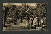 Real Photograph by S C Smith of The Rose Gardens Dunedin. - 49269 - Postcard