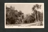 Real Photograph by Gill of a scene in Botannical Gardens Dunedin. - 49274 - Postcard