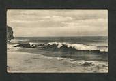 Postcard of Lawyer's Head Dunedin. - 49287 - Postcard