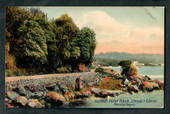 Coloured postcard by Sagers of Harold's Point Track Stewart Island. - 49344 - Postcard