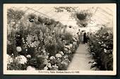 Real Photograph by A B Hurst & Son of Conservatory Public Gardens Oamaru. - 49510 - Postcard