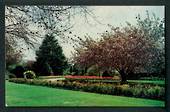 Coloured postcard of Victoria Park Waimate. - 49512 - Postcard