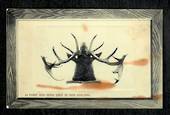 Coloured postcard of 16 Point Red Deer shot in New Zealand. - 49710 - Postcard
