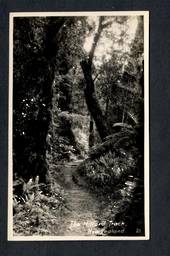 Real Photograph of The Milford Track. - 49857 - Postcard
