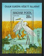 HUNGARY 1980 Protected Birds. Great Egret. Miniature sheet. - 50381 - UHM