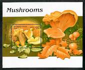 AFGHANISTAN 1998 Fungi. Miniature sheet. - 50871 - CTO