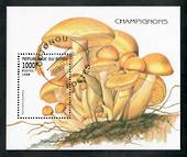 BENIN 1998 Fungi. Miniature sheet. - 50872 - CTO