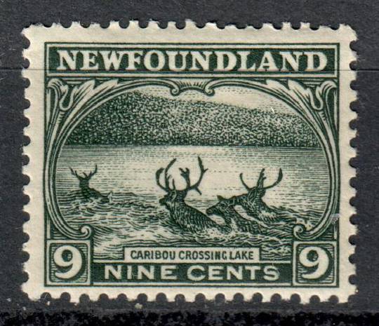 NEWFOUNDLAND 1923 Definitive 9c Sag-Green. Very lightly hinged. - 5439 - LHM