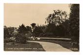 Real Photograph by Lucas of a corner of Public Gardens Levin. - 69555 - Postcard