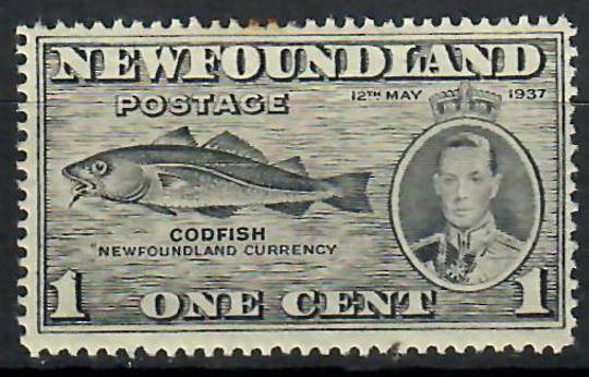 NEWFOUNDLAND 1937 1c Grey. Prominent listed Fish-hook flaw illustrated in SG. Centred slightly east. - 70536 - LHM