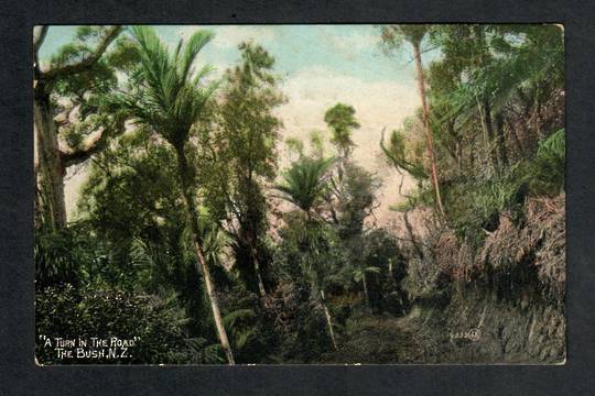 NEW ZEALAND The Bush. Coloured Postcard. - 749778 - Postcard