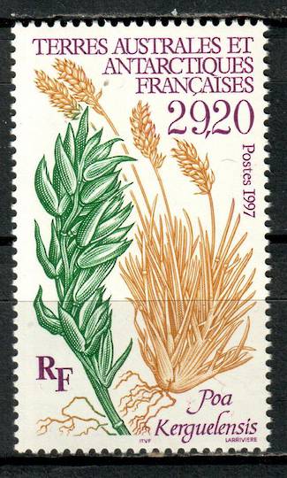 FRENCH SOUTHERN and ANTARCTIC TERRITORIES 1997 Poa Kerguelensis. - 80341 - UHM