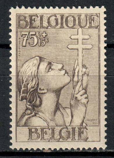 BELGIUM 1933 Anti-Tuberculosis Fund 75c+15c Sepia. - 92326 - Mint