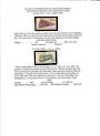 CZECHOSLOVAKIA Five pages from collection. Railway Locomotives of Czechoslovakia and of Slovakia. - 100857 - Mixed