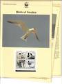 SWEDEN 1994 World Wildlife Fund Birds. Set of 4 in mint never hinged and on first day covers with 6 pages of official text. The