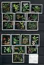 VENEZUELA 1962 Orchids. Set of 18. - 20588 - UHM