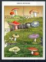 MALI Fungi miniature sheet. - 20982 - UHM