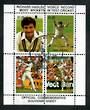 NEW ZEALAND 1988 World Record Test Wickets. Miniature sheet. - 21691 - VFU