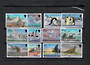 BRITISH ANTARCTIC TERRITORY 1998 Definitives. Set of 12. Birds. - 22803 - UHM
