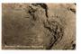 Real Photograph published by Tanner of Mud Volcano Whakarewarewa. - 245949 - Postcard