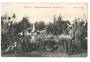 Postcard by Muir & Moodie of Sanatorium Grounds Rotorua. - 246053 - Postcard