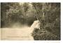 Postcard of Tutea Falls Okere Lake Rotoiti. - 246134 - Postcard