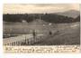 Early Undivided Postcard of Newtown Park Wellington. - 247359 - Postcard