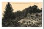 Postcard of Botannical Gardens. Wellington. - 247368 - Postcard