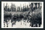 Real Photograph of Mahinapua River Hokitika. - 248778 - Postcard