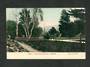 Coloured Postcard by Muir & Moodie of Botannical Gardens Dunedin. - 249102 - Postcard